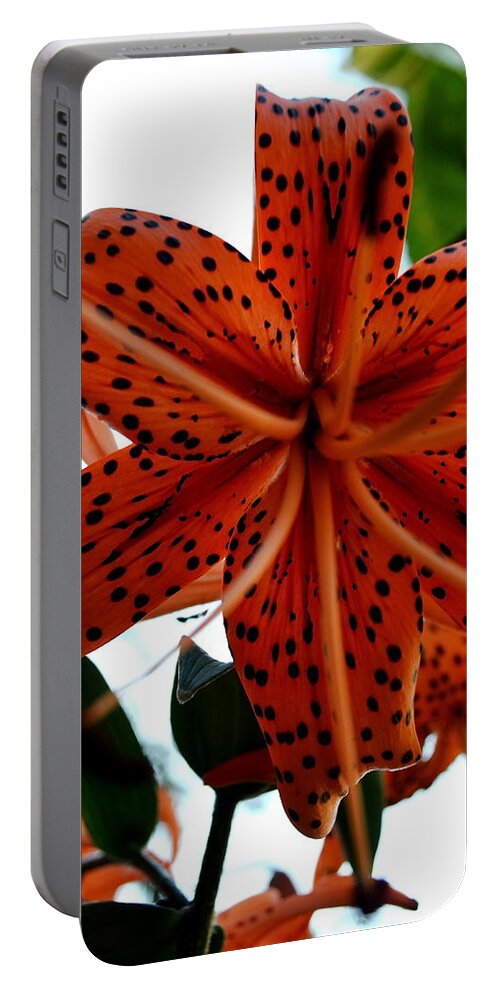 Dragon Portable Battery Charger featuring the photograph Dragon Flower by Gregory Merlin Brown