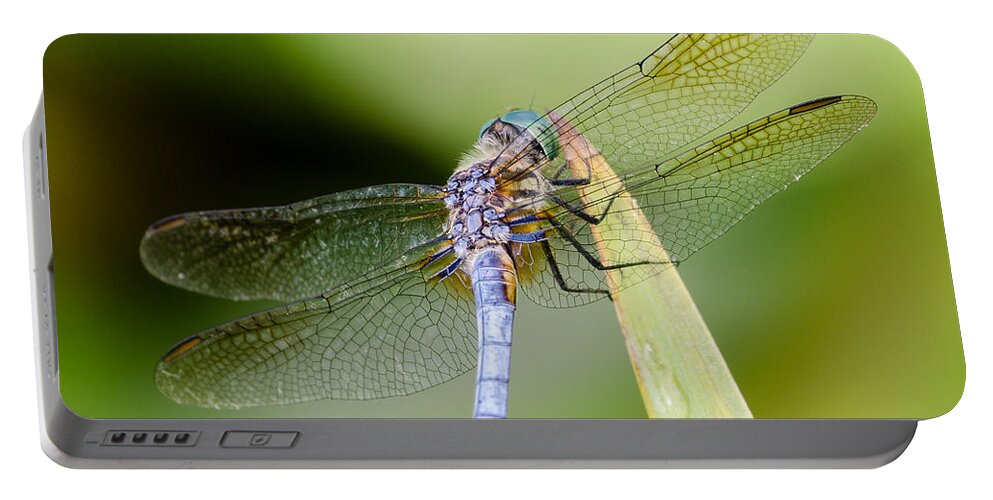 Kenilworth Aquatic Gardens Portable Battery Charger featuring the photograph Dragonfly by Georgette Grossman