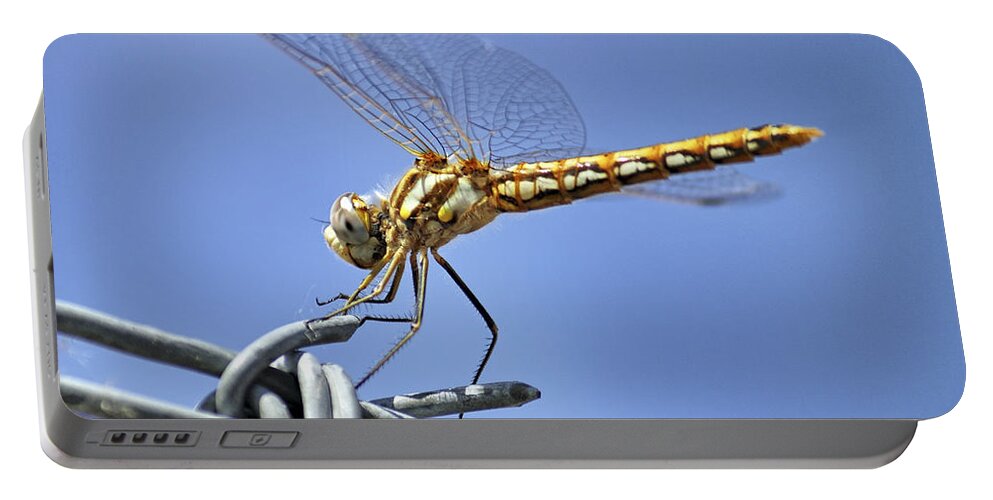 Dragonfly Portable Battery Charger featuring the photograph Dragonfly on Barbed Wire by Jason Politte