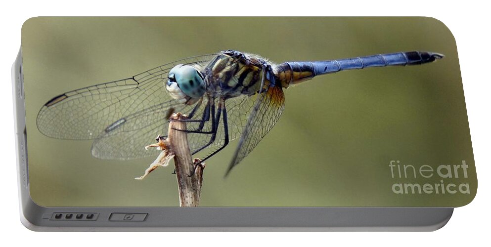 Dragonfly Portable Battery Charger featuring the photograph Dragonfly Smile by Lilliana Mendez