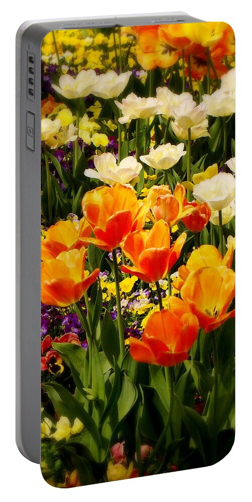 Fine Art Portable Battery Charger featuring the photograph Dreaming in Color by Rodney Lee Williams