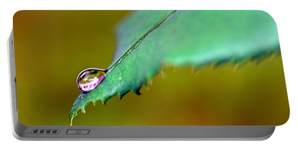 Photography Portable Battery Charger featuring the photograph Droplet on Rose Leaf by Kaye Menner