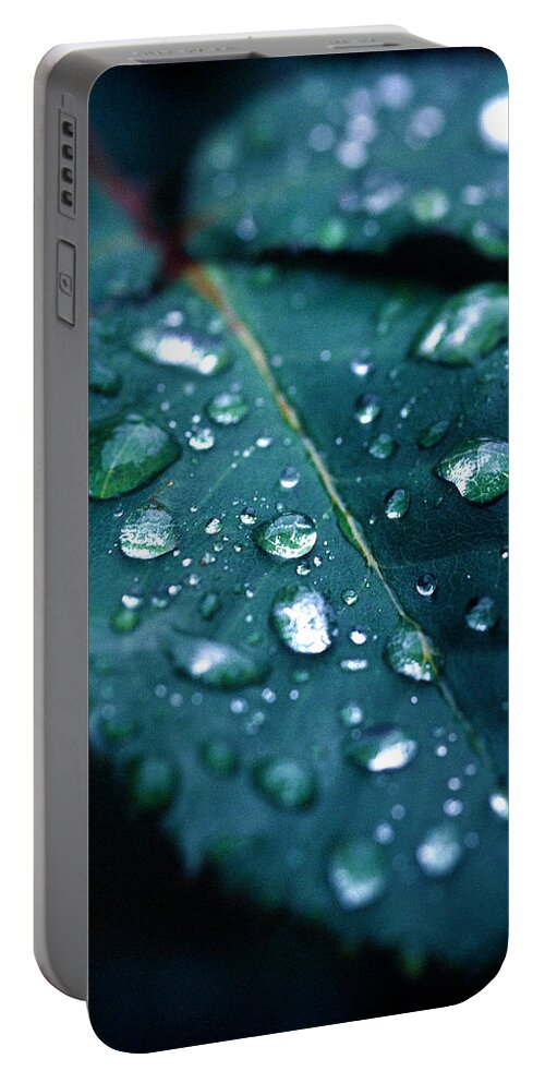 Floral Portable Battery Charger featuring the photograph Droplets by Matt Swinden