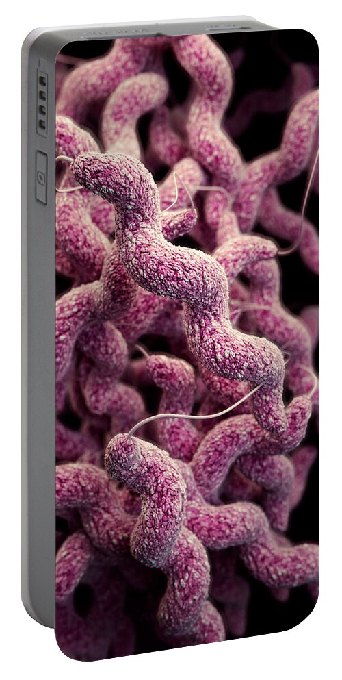 Drug Resistant Portable Battery Charger featuring the photograph Drug-resistant Campylobacter by Science Source