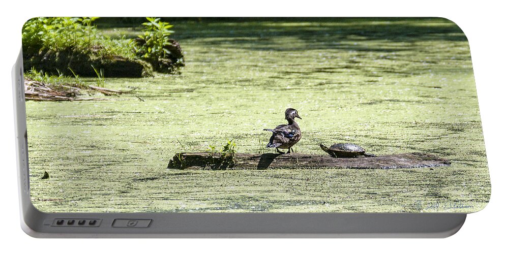 Heron Heaven Portable Battery Charger featuring the photograph Duck And Turtle by Ed Peterson