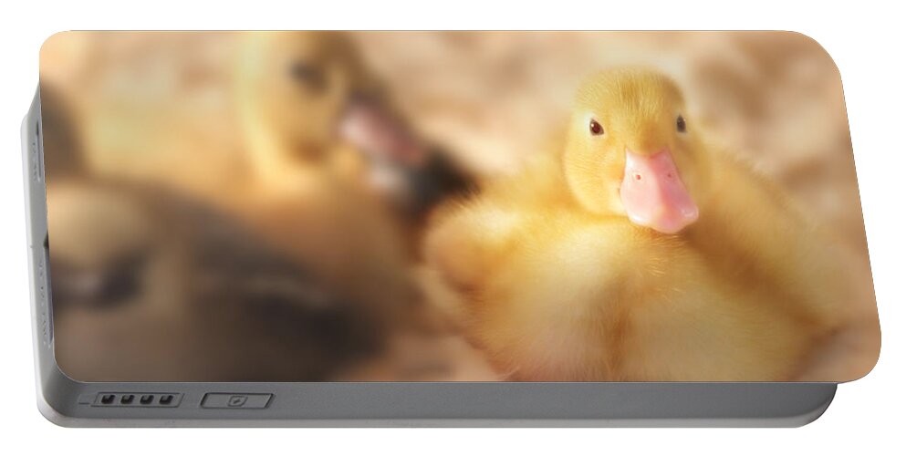 Duck Portable Battery Charger featuring the photograph Duckling by Shelley Neff
