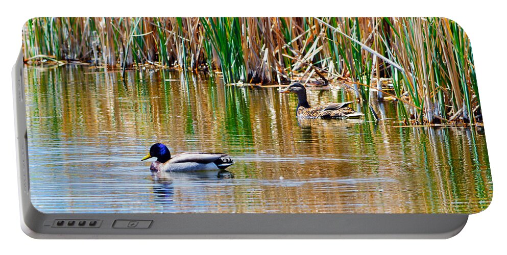 Duck Portable Battery Charger featuring the photograph Ducks in a Marsh by Brent Dolliver