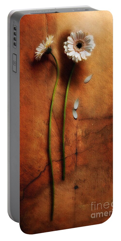 Gerbera Portable Battery Charger featuring the photograph Duet by Jaroslaw Blaminsky