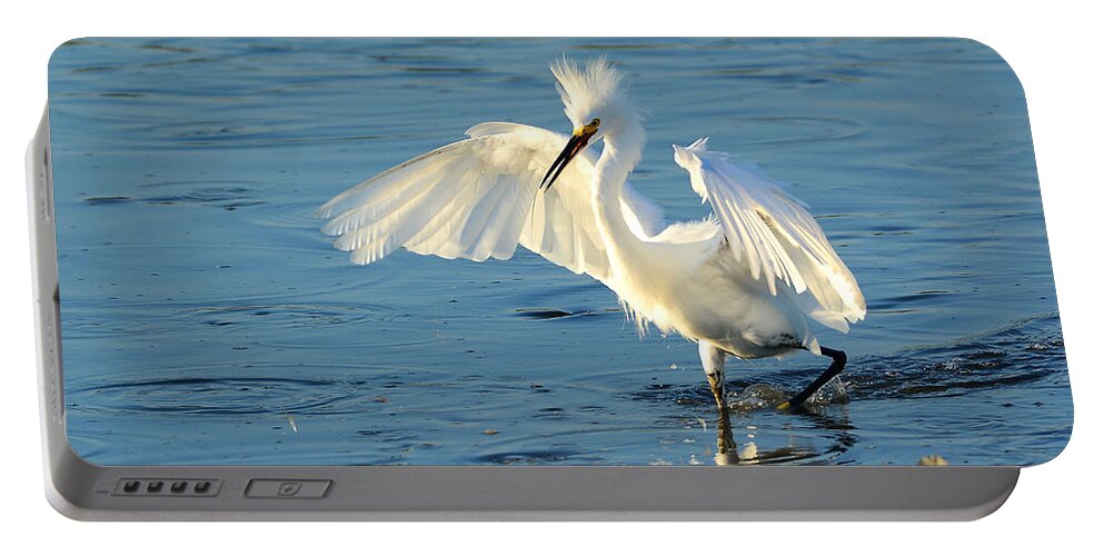 Egret Portable Battery Charger featuring the photograph Dusk In The Salt Marsh by Kathy Baccari