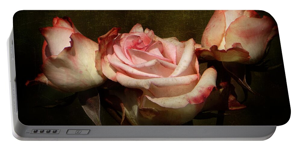 Rose Portable Battery Charger featuring the photograph Dusty Rose by Blair Wainman