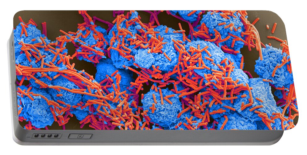 Science Portable Battery Charger featuring the photograph E Coli And Macrophages Sem by Science Source