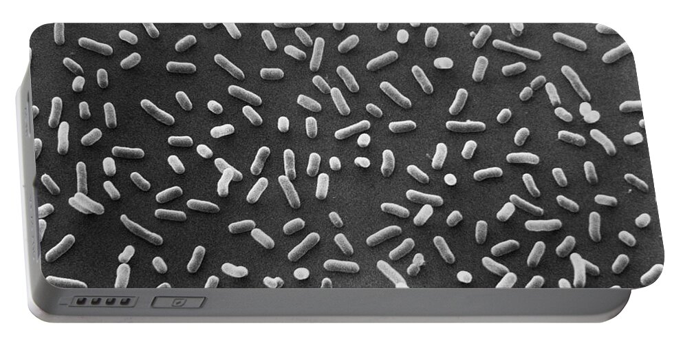 Escherichia Coli Portable Battery Charger featuring the photograph E. Coli Bacteria Sem X7,000 by David M. Phillips