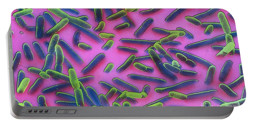 Sem Portable Battery Charger featuring the photograph E. Coli, Sem by David M. Phillips
