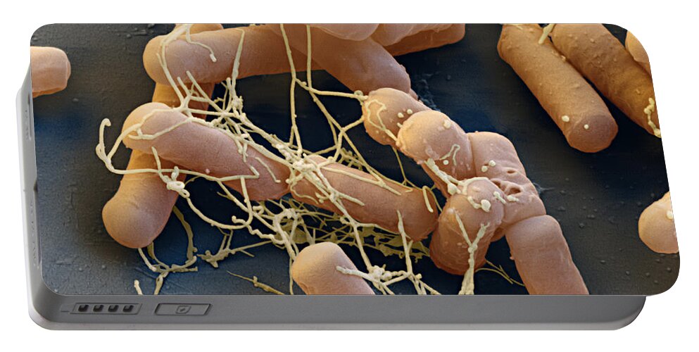 Science Portable Battery Charger featuring the photograph E Coli Sem by Eye of Science