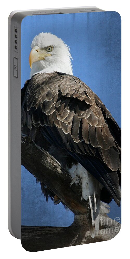 Colorado Portable Battery Charger featuring the photograph Eagle Eye by Bob Hislop