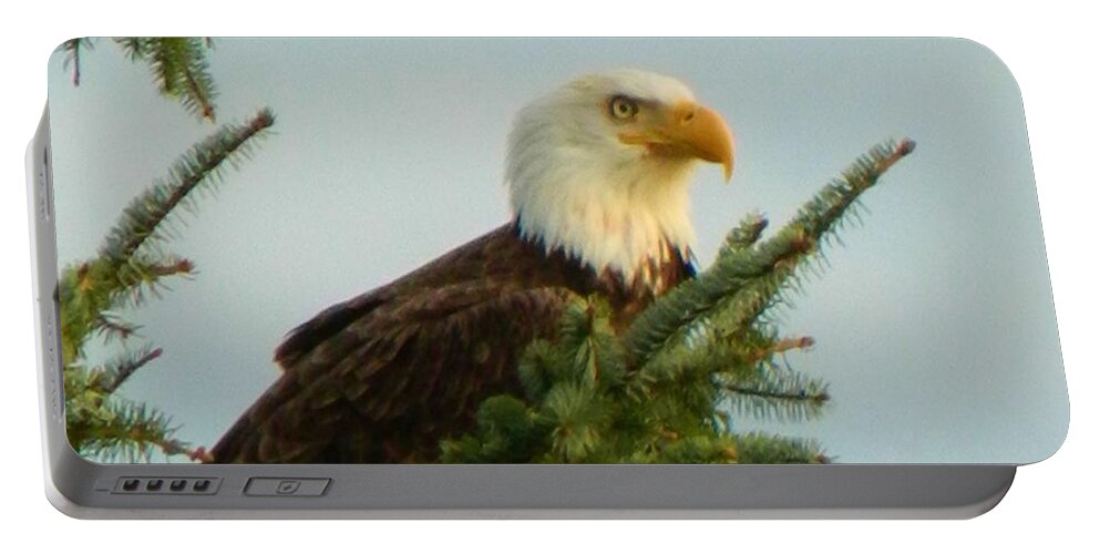 Landscape Portable Battery Charger featuring the photograph Eagle in Tree by Gallery Of Hope 