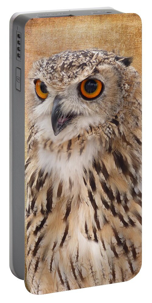 Owl Portable Battery Charger featuring the photograph Eagle Owl by Lynn Bolt