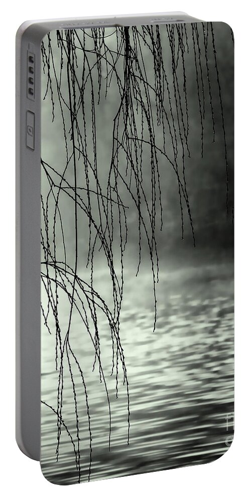 Fog Portable Battery Charger featuring the photograph Early Morning Fog by Elaine Manley