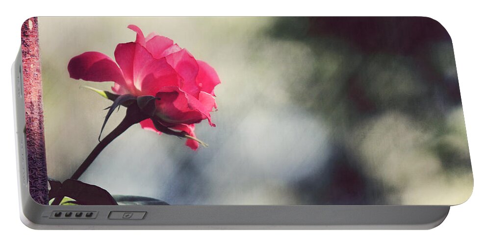 Rose Portable Battery Charger featuring the photograph Early Morning by Melanie Lankford Photography