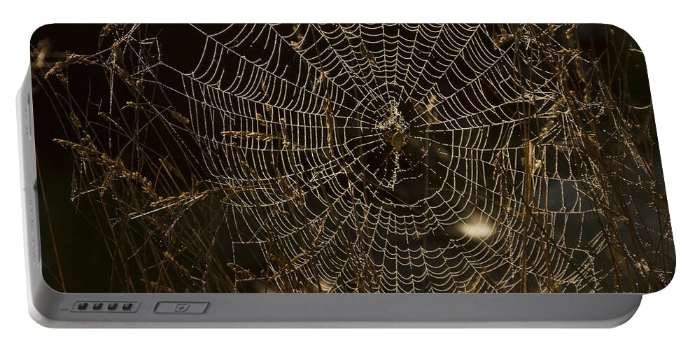 Spider Web Portable Battery Charger featuring the photograph Early Riser by David Yocum