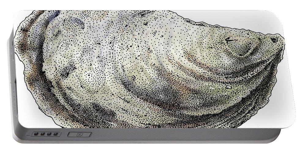 Eastern Oyster Portable Battery Charger featuring the photograph Eastern Oyster by Roger Hall
