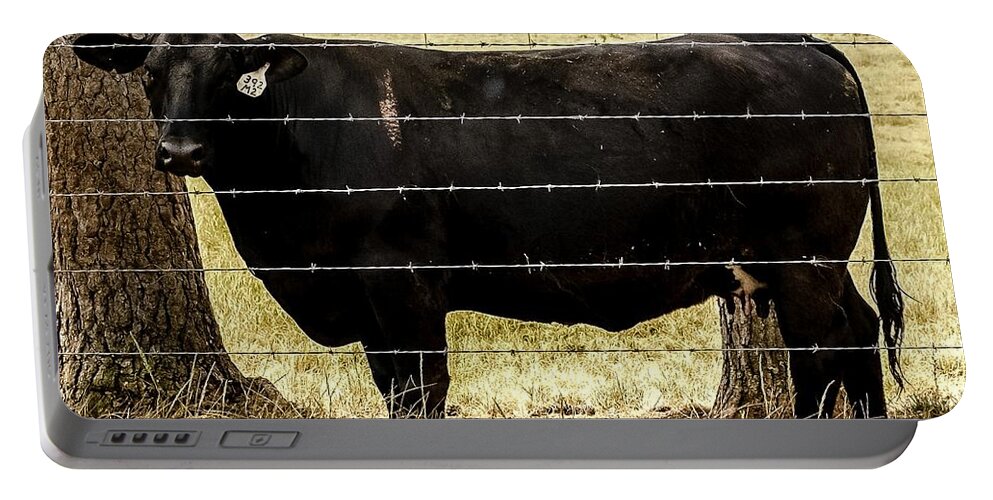 Cow Portable Battery Charger featuring the photograph Eat More Chicken by Robert L Jackson