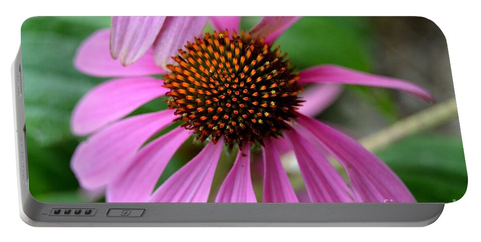 Echinacea Portable Battery Charger featuring the photograph Echinacea by Lynellen Nielsen
