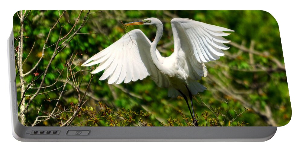 Egret Portable Battery Charger featuring the photograph Egret In Evenings Light by Kathy Baccari
