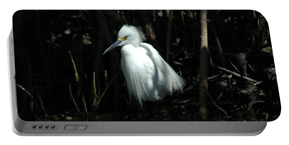 Egret Portable Battery Charger featuring the photograph Egret of Sanibel 2 by David Weeks