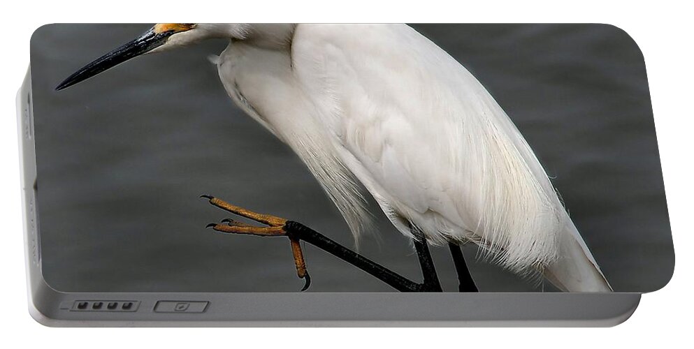 Bird Portable Battery Charger featuring the photograph Egret by Roger Becker