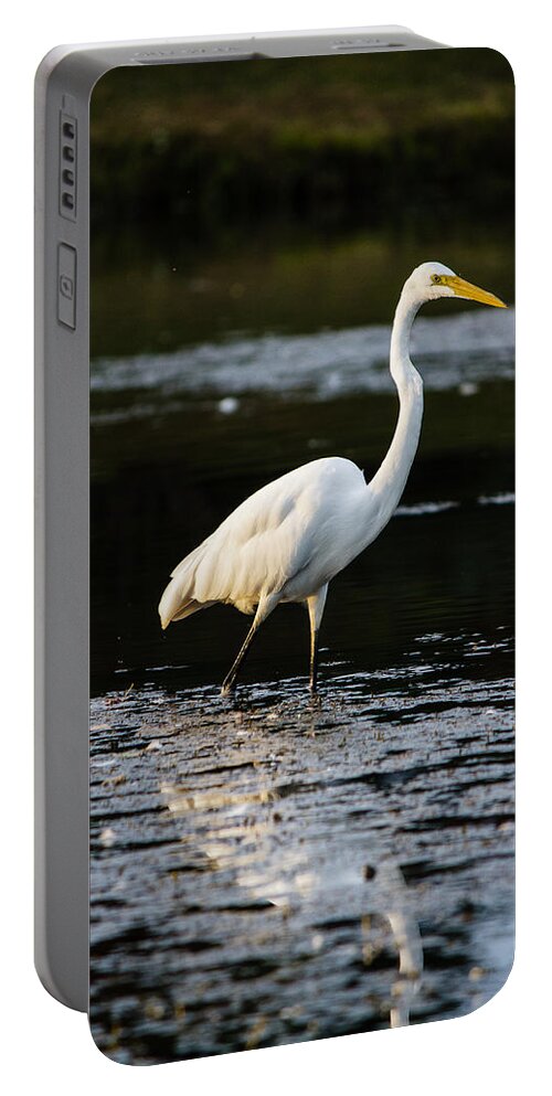 John F Kennedy Memorial Park Portable Battery Charger featuring the photograph Egret by SAURAVphoto Online Store