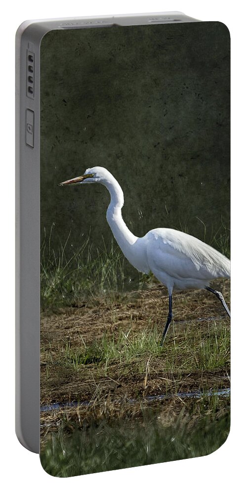 Great Egret Portable Battery Charger featuring the photograph Egret Walking by Belinda Greb