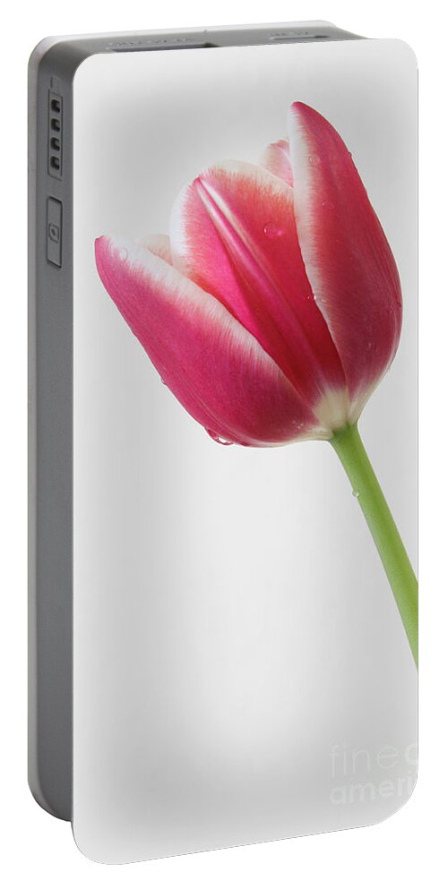 Tulips Portable Battery Charger featuring the photograph Elegance by Anita Oakley