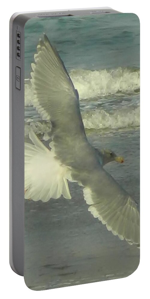 Seagulls Portable Battery Charger featuring the photograph Elegance by Gallery Of Hope 