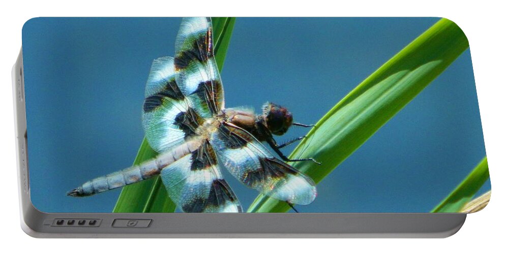 Nature Portable Battery Charger featuring the photograph Elegance of Nature by Gallery Of Hope 
