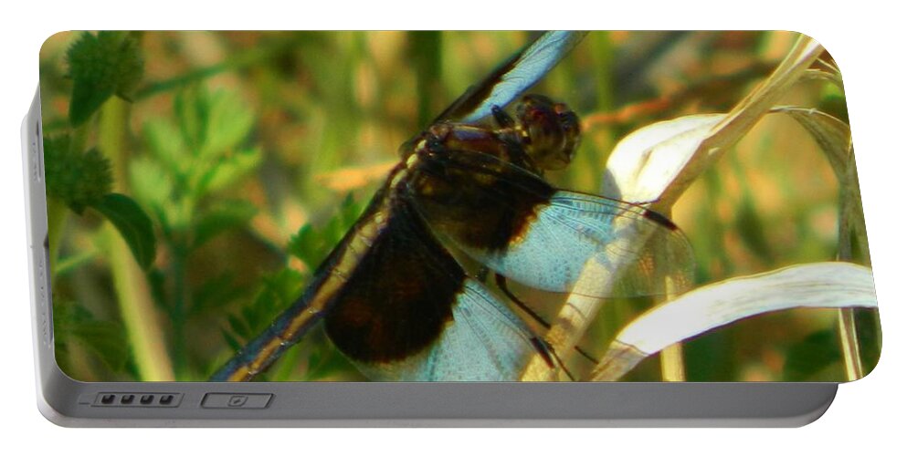 Nature Portable Battery Charger featuring the photograph Elegant Dragonfly by Gallery Of Hope 