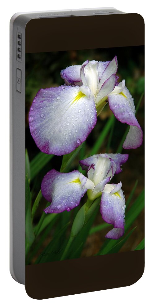 Iris Portable Battery Charger featuring the photograph Elegant Purple Iris by Marie Hicks