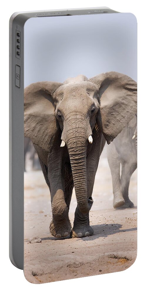 Wild Portable Battery Charger featuring the photograph Elephant bathing by Johan Swanepoel