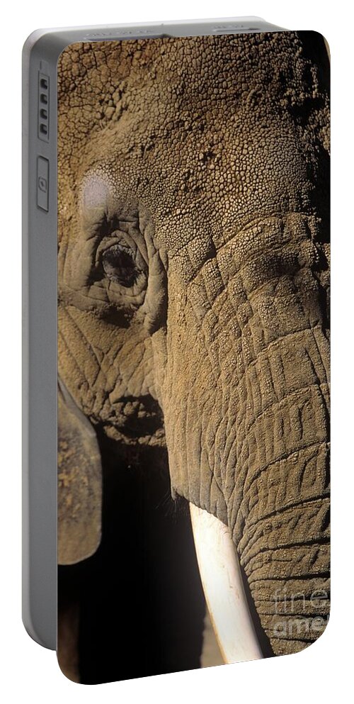 Elephant Portable Battery Charger featuring the photograph Elephant Portraint by John Harmon