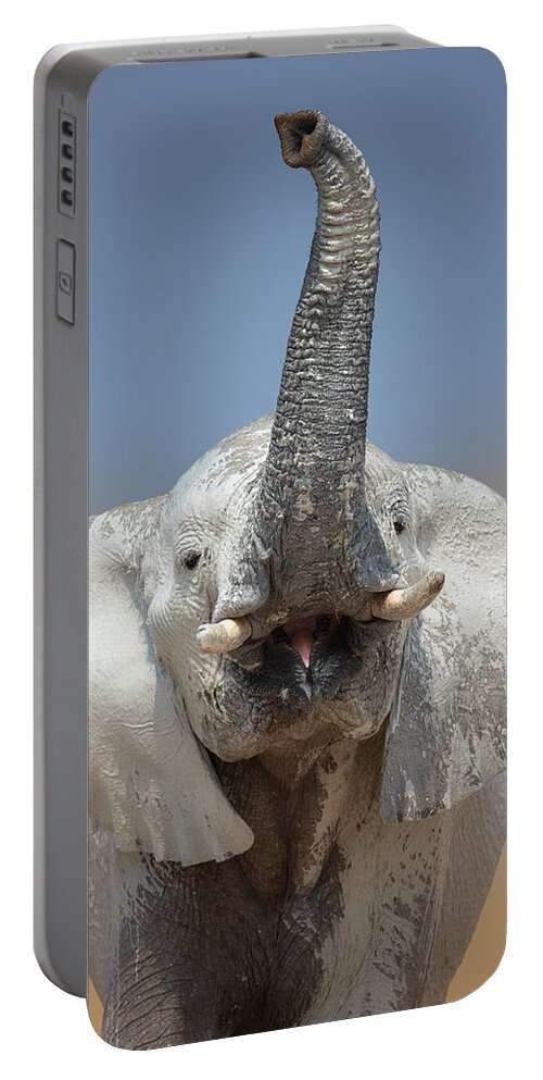 Wild Portable Battery Charger featuring the photograph Elephant portrait by Johan Swanepoel