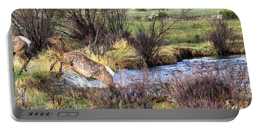Elk Portable Battery Charger featuring the photograph Elk In Motion by Shane Bechler