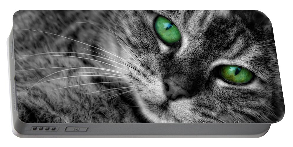 Cat Portable Battery Charger featuring the photograph Emerald Eyes Cat by Olga Hamilton