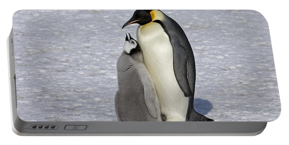 Flpa Portable Battery Charger featuring the photograph Emperor Penguin And Chick Snow Hill Isl by Roger Tidman