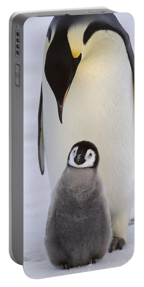 Feb0514 Portable Battery Charger featuring the photograph Emperor Penguin With Chick Antarctica by Konrad Wothe