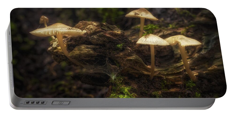 Mushrooms Portable Battery Charger featuring the photograph Enchanted Forest by Scott Norris