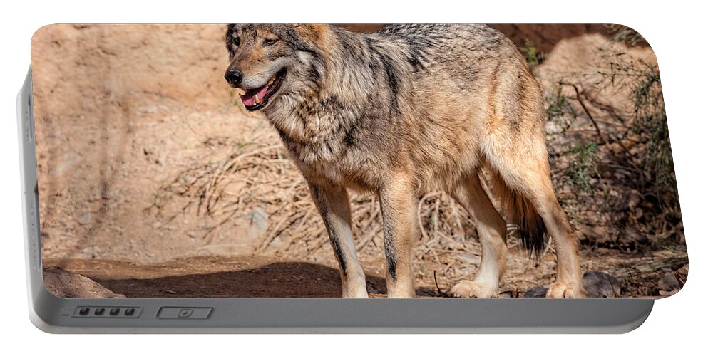 Arizona Portable Battery Charger featuring the photograph Endangered Mexican Wolf by E.r. Degginger