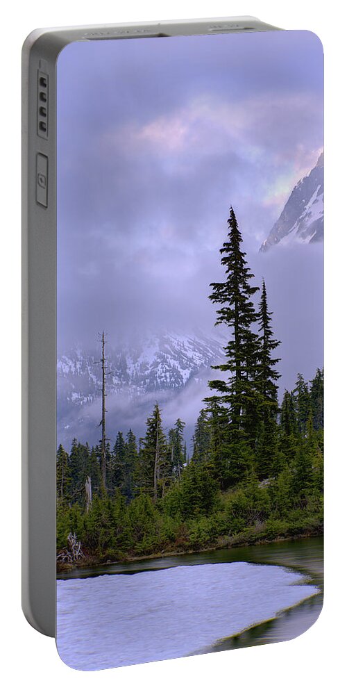 Nature Portable Battery Charger featuring the photograph Enduring Winter by Chad Dutson