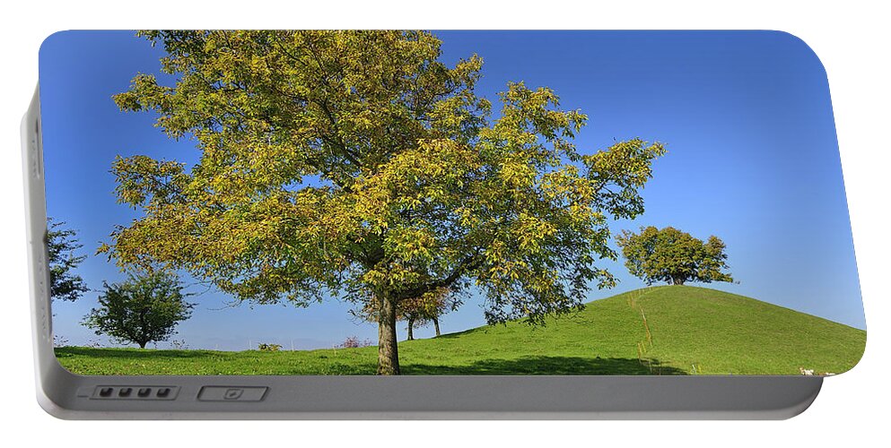 Feb0514 Portable Battery Charger featuring the photograph English Black Walnut Tree Switzerland by Thomas Marent