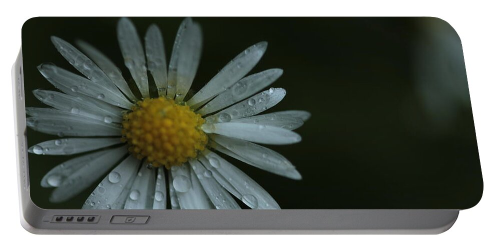 Daisy Portable Battery Charger featuring the photograph English Daisy and Rain Drops by Valerie Collins