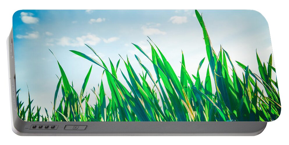 Blue Portable Battery Charger featuring the photograph enjoying a sunny day in the green III by Hannes Cmarits